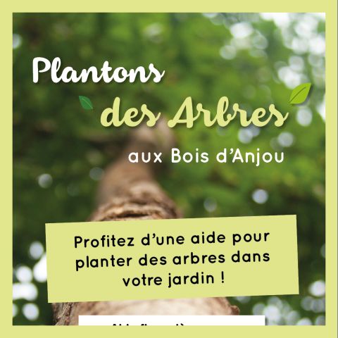 OPÉRATION PLANTONS DES ARBRES AUX BOIS D'ANJOU